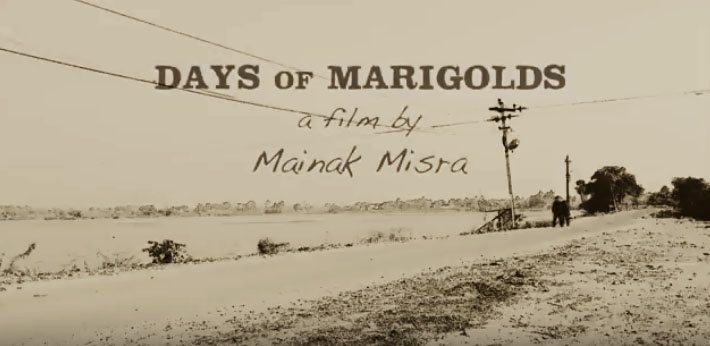 Days of Marigolds - Poster